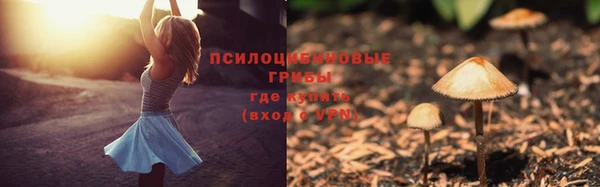 стафф Армянск