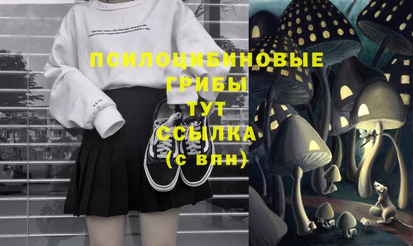 стафф Армянск