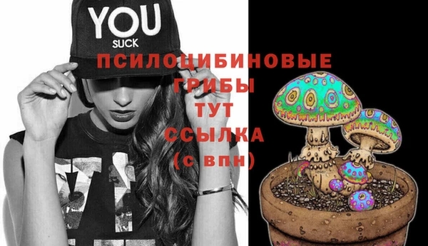 мет Аркадак
