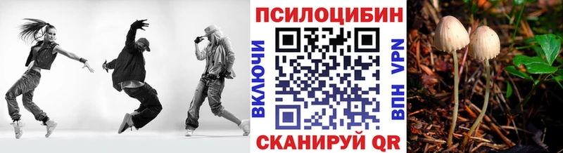 Псилоцибиновые грибы мухоморы  купить наркоту  Грязовец 