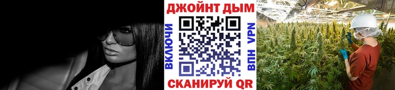 Канабис SATIVA & INDICA  что такое   Грязовец 